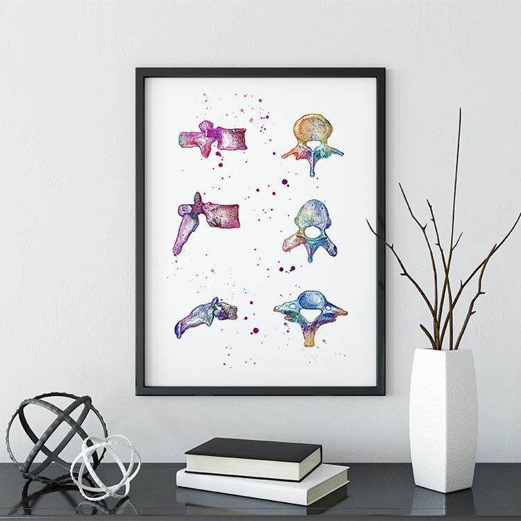 Vertebrae Bones Human Anatomy Watercolor Print