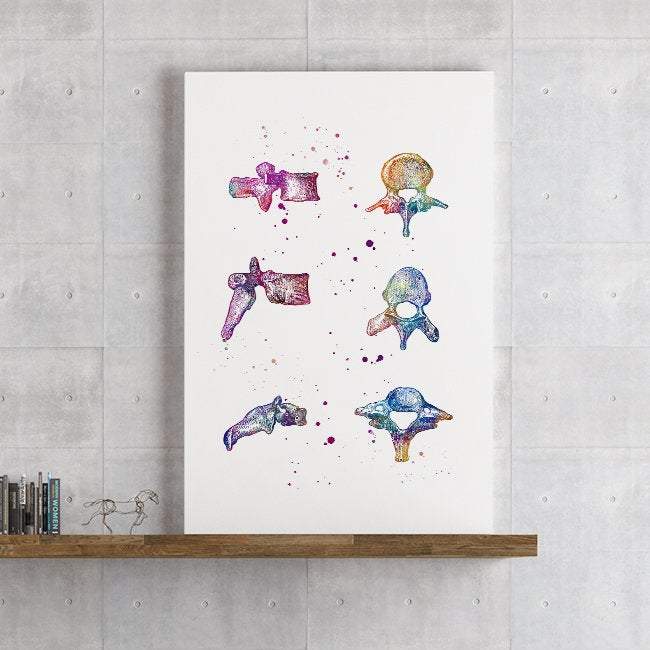 Vertebrae Bones Human Anatomy Watercolor Print