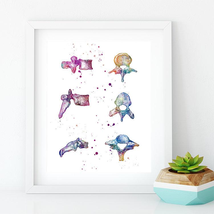 Vertebrae Bones Human Anatomy Watercolor Print