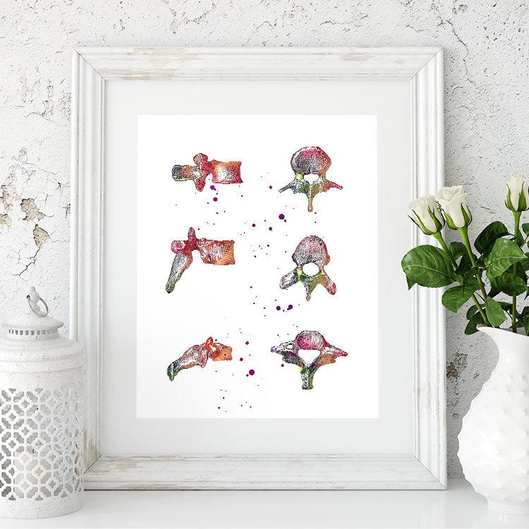 Vertebrae Spine Bones Anatomical Watercolor Art Print
