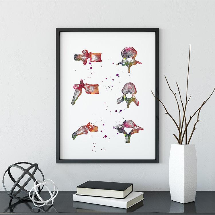 Vertebrae Spine Bones Anatomical Watercolor Art Print