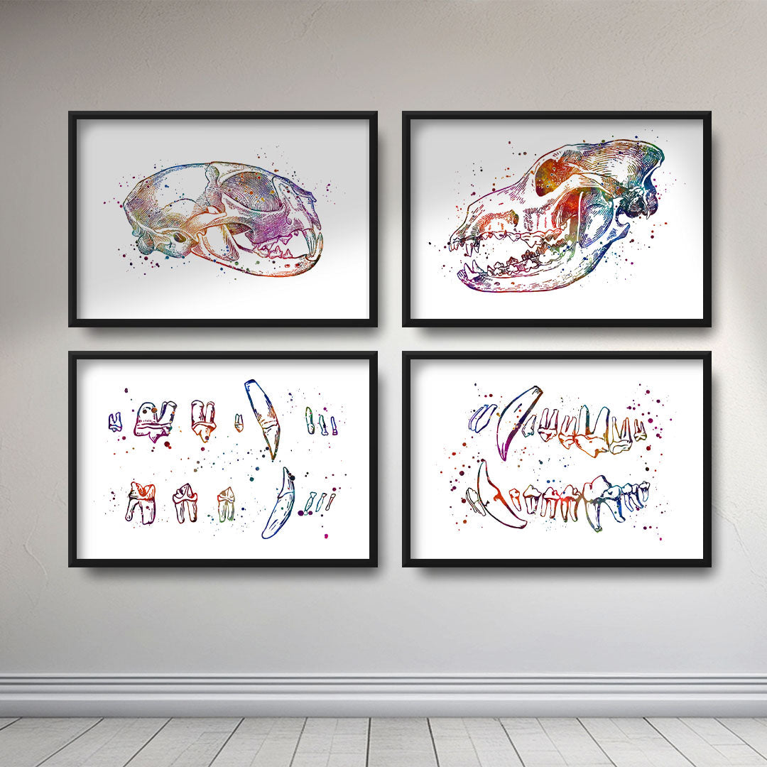 Dog and Cat Dentistry Set of 4 Watercolor Art Prints