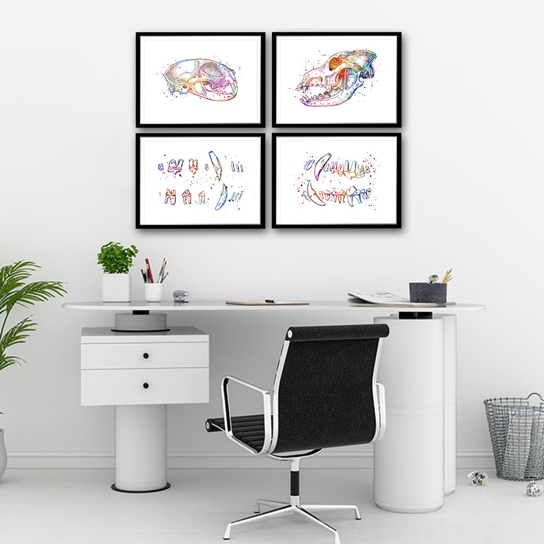 Veterinary dentistry decor set with colorful cat and dog anatomy prints, perfect for physiotherapy and animal clinics.