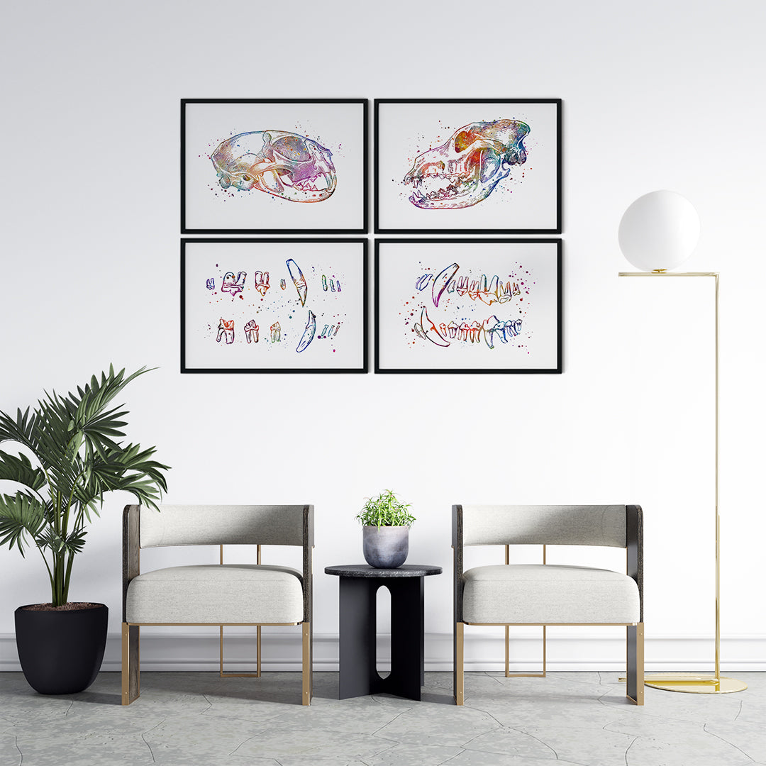 Set of 4 animal anatomy prints featuring dog and cat skulls and teeth.