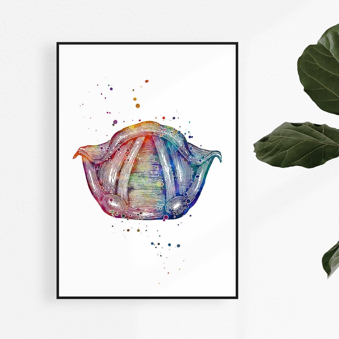 Vibrant watercolor art of vocal cords, ideal for speech therapy and ENT office decor.