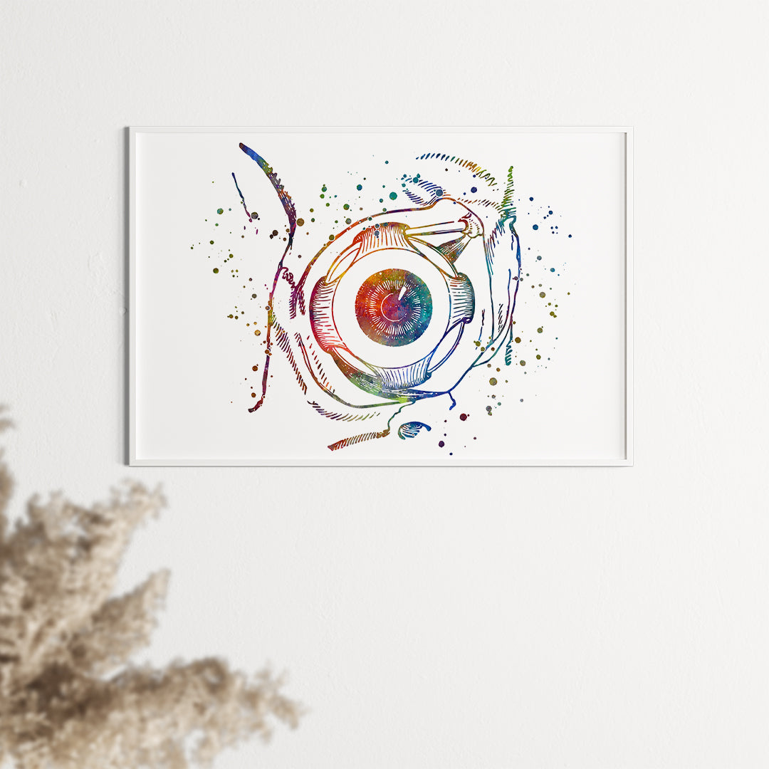 Educational eye anatomy art print, featuring a colorful watercolor design for medical spaces