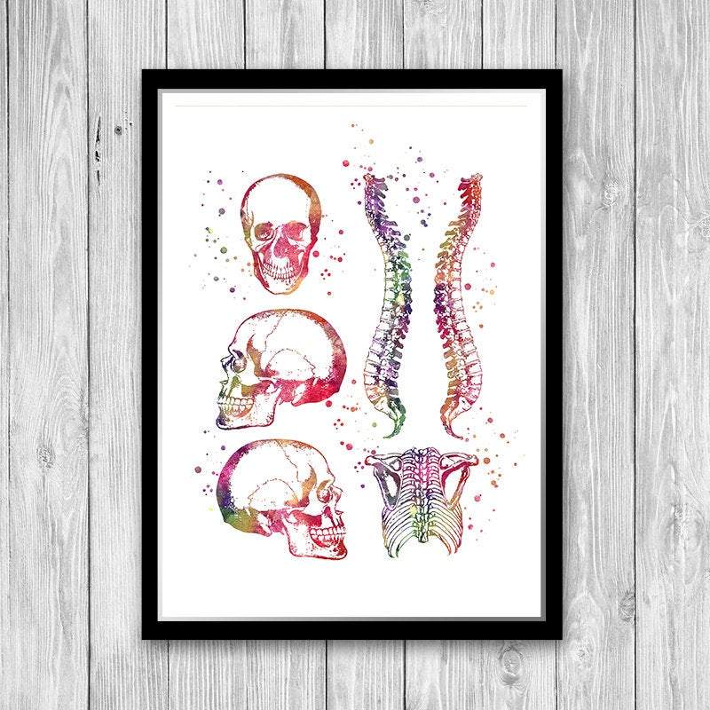 Chiropractic Clinic Wall Decor Set of 3 Prints - PrintsFinds