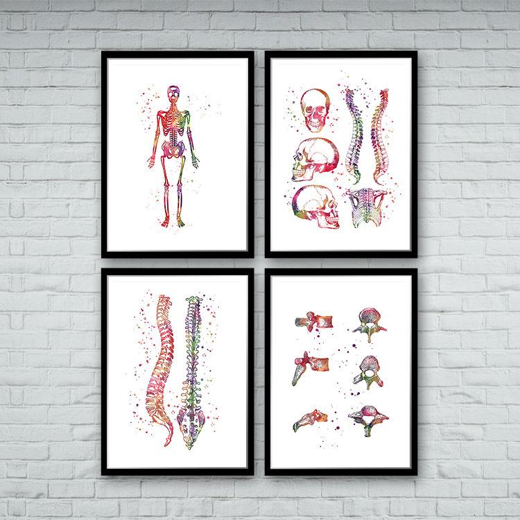 Chiropractic Office Decor Spine Skeleton Vertebral Bones Set of 4 Art Prints - PrintsFinds