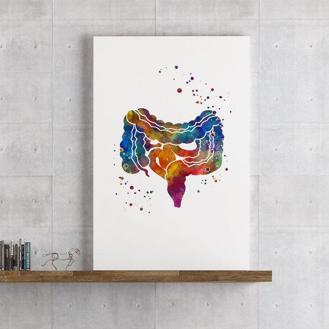 Digestive System Art Large and Small Intestine Gi Tract - PrintsFinds