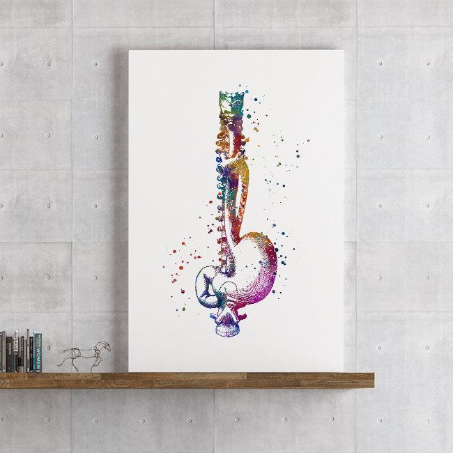 Esophagus and Stomach Anatomy Art - PrintsFinds