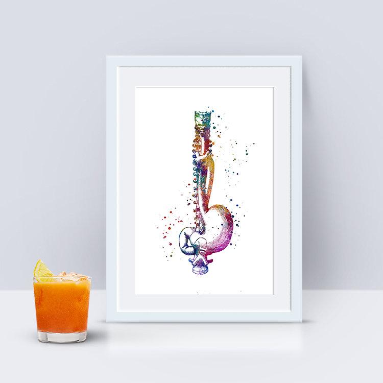 Esophagus and Stomach Anatomy Art - PrintsFinds