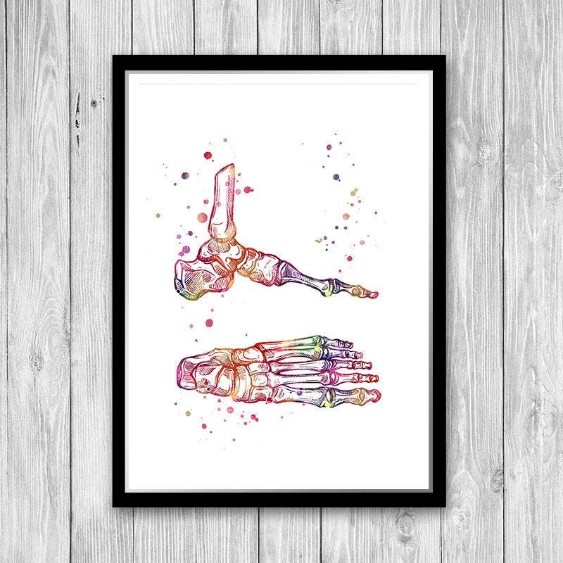 Foot and Ankle Anatomy Art - PrintsFinds