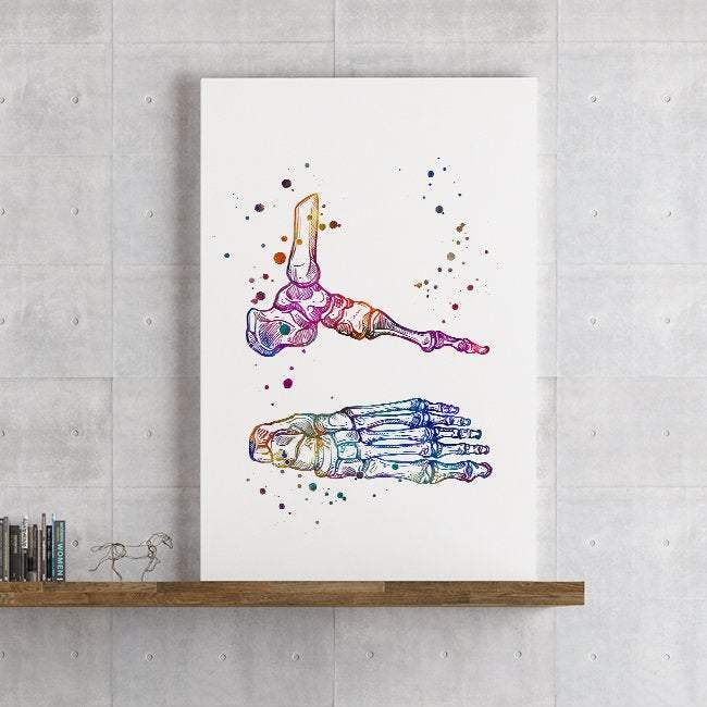 Foot and Ankle Bones Anatomy Art Print - PrintsFinds