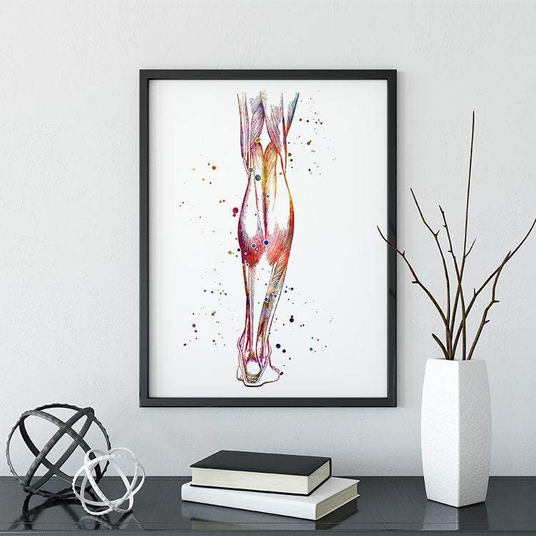 Human Calf anatomy art print - PrintsFinds