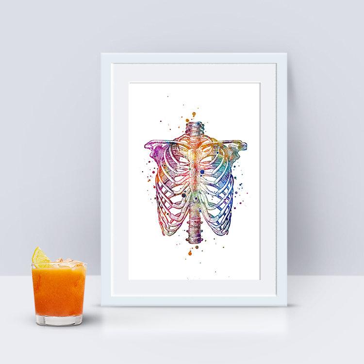 Human Chest Skeleton Rib Cage Thorax Anatomy Art - PrintsFinds