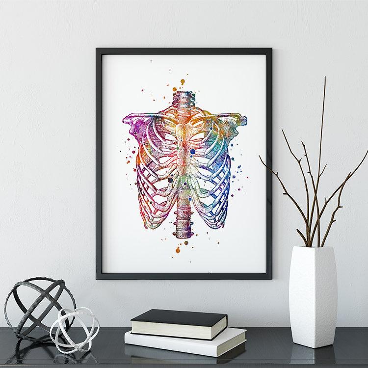 Human Chest Skeleton Rib Cage Thorax Anatomy Art - PrintsFinds