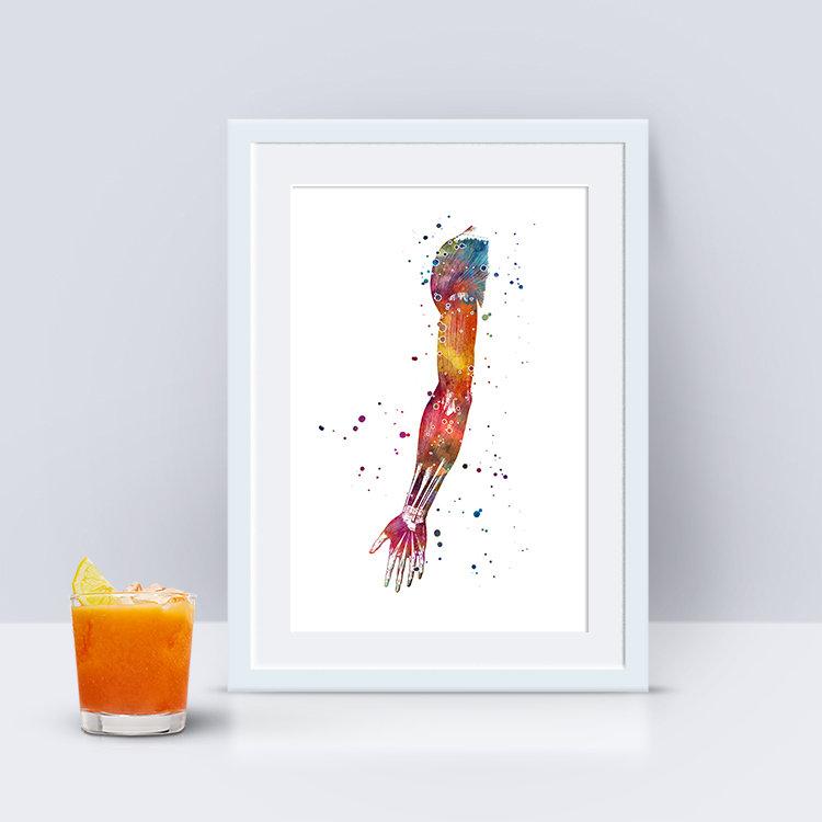 Human Hand Muscles Arm Anatomy Art - PrintsFinds