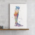 Human Leg Anatomy Art - PrintsFinds