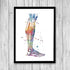 Human Leg Anatomy Art - PrintsFinds