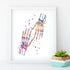 Human Palm Bones Anatomy Art - PrintsFinds