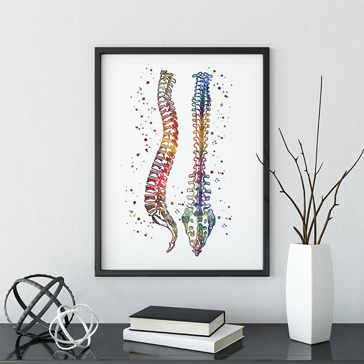 Human Spine Print, Wall Art for Chiropractor Office - PrintsFinds