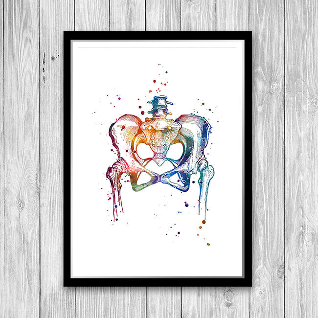 Pelvis Anatomy Watercolor Art Print for Clinic Wall Decor