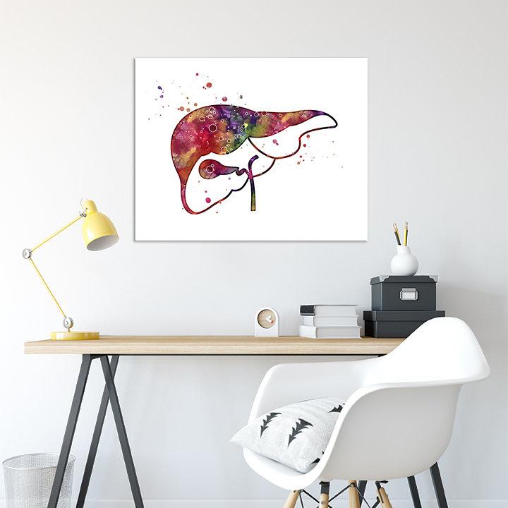 Liver and Gall Anatomy Art - PrintsFinds