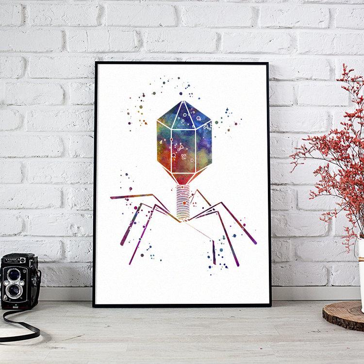 Science decor bacteriophage virus biology art print - PrintsFinds