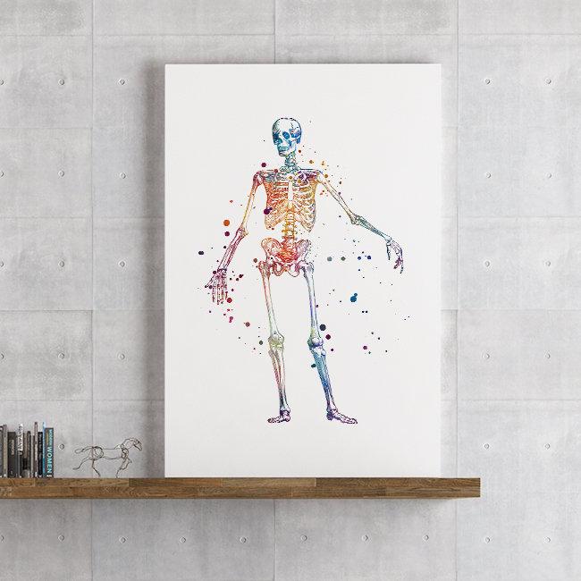 Skeleton Print, Chiropractor Office decor - PrintsFinds