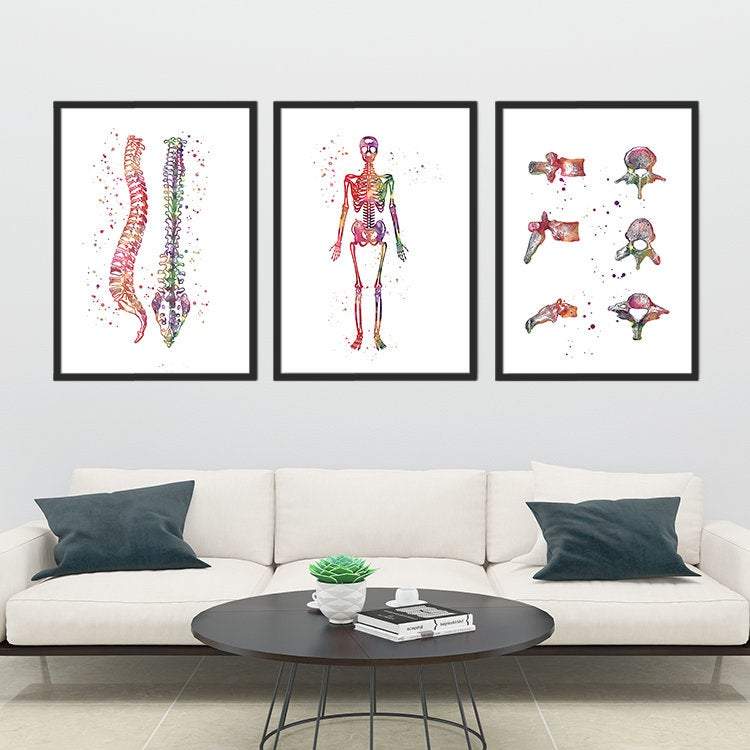 Spine, Skeleton and Vertebral Bones Set of 3 prints - PrintsFinds